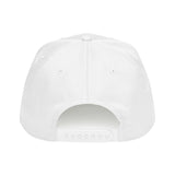University of Ice Cream College Hat